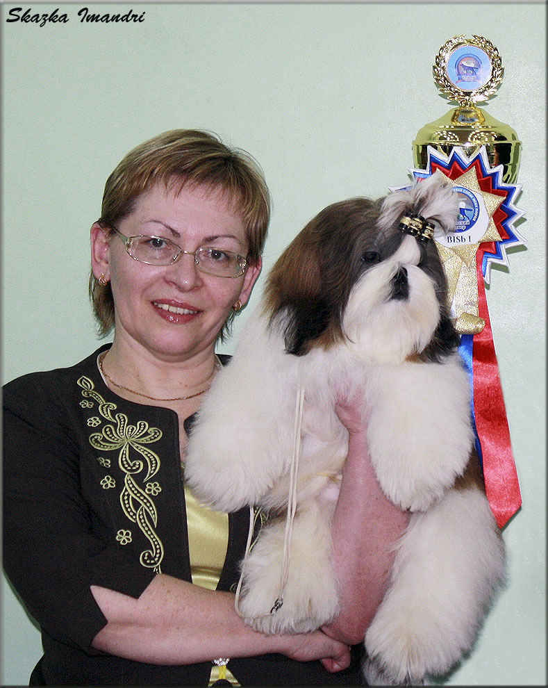 SKAZKA IMANDRI IDEAL KRASOTY (Брэнд)