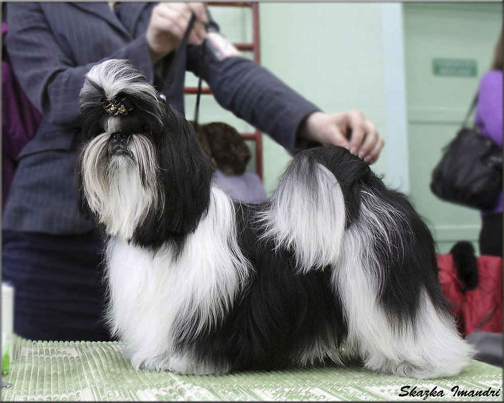 SKAZKA IMANDRI EROFEYA (Ероша)