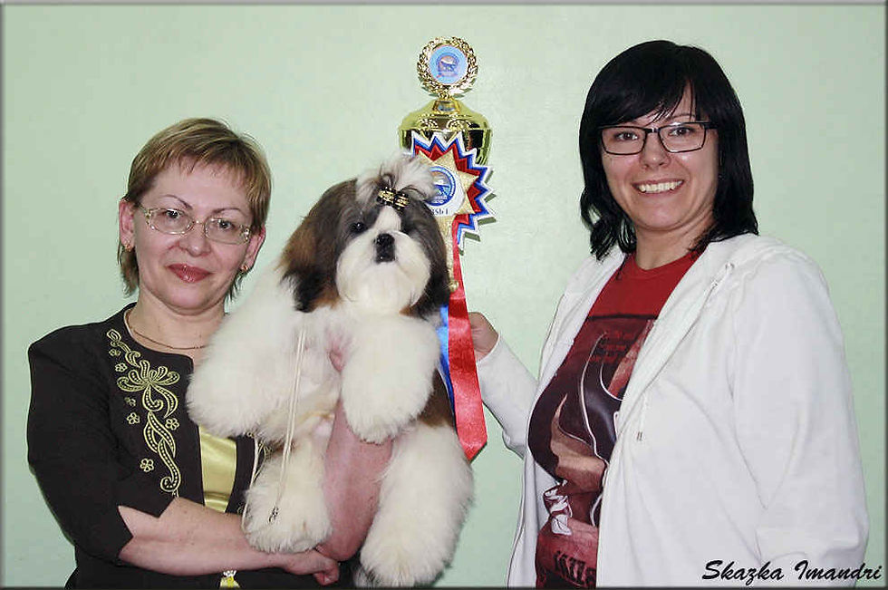 SKAZKA IMANDRI IDEAL KRASOTY (Брэнд)