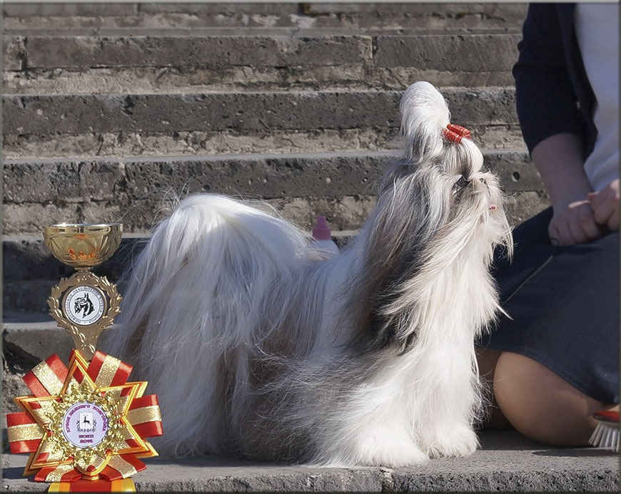 SKAZKA IMANDRI VASILINA