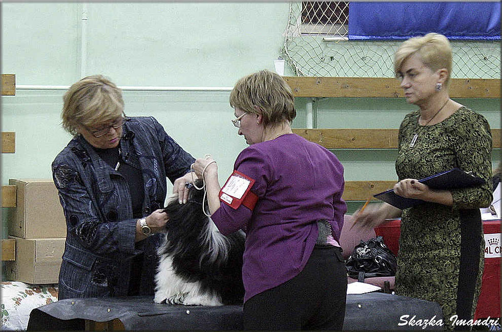 Без имени-3.jpg