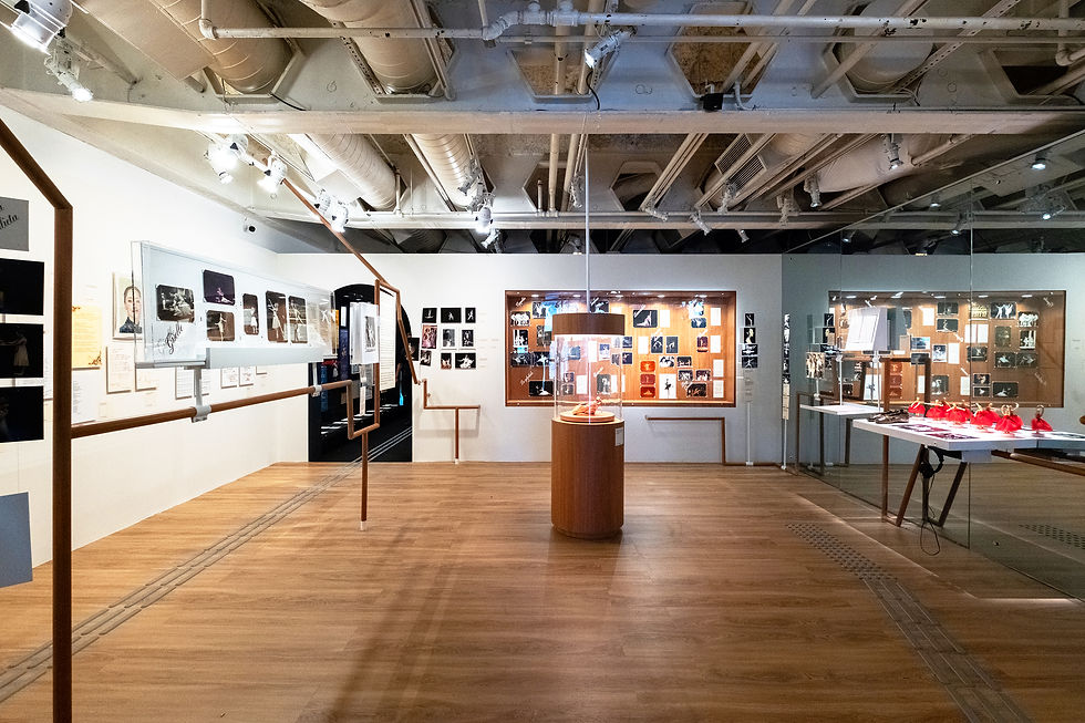 ExposiçãoAnaBotafogo_AgenciaOphelia_8