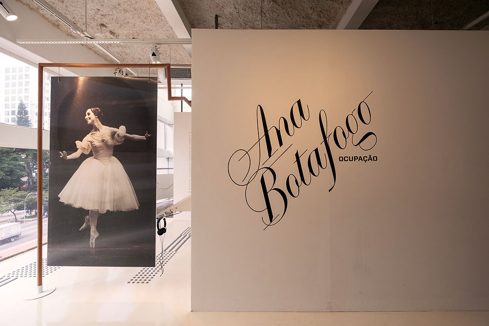 ExposiçãoAnaBotafogo_AgenciaOphelia_1