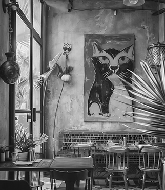 website copy-13_edited.png