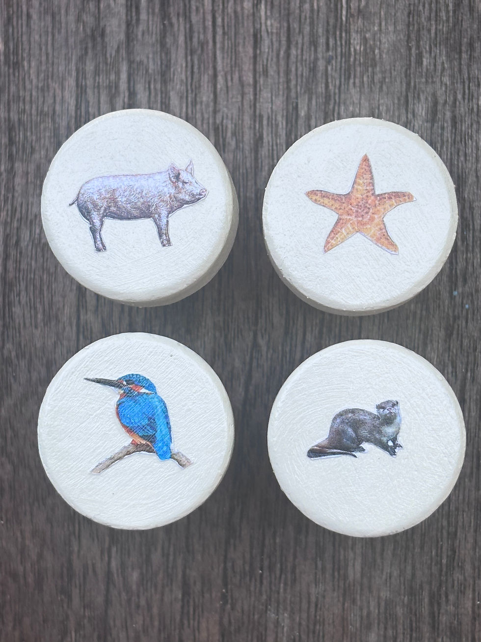 Thumbnail: Hand decorated animal bottle stoppers