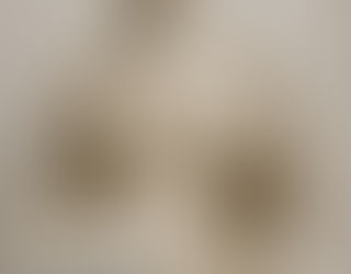 Ruolo, Diritti e Limiti del CTP Psicologo nelle Operazioni Peritali in Italia