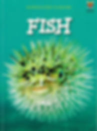 Fish:Introduction To Nature