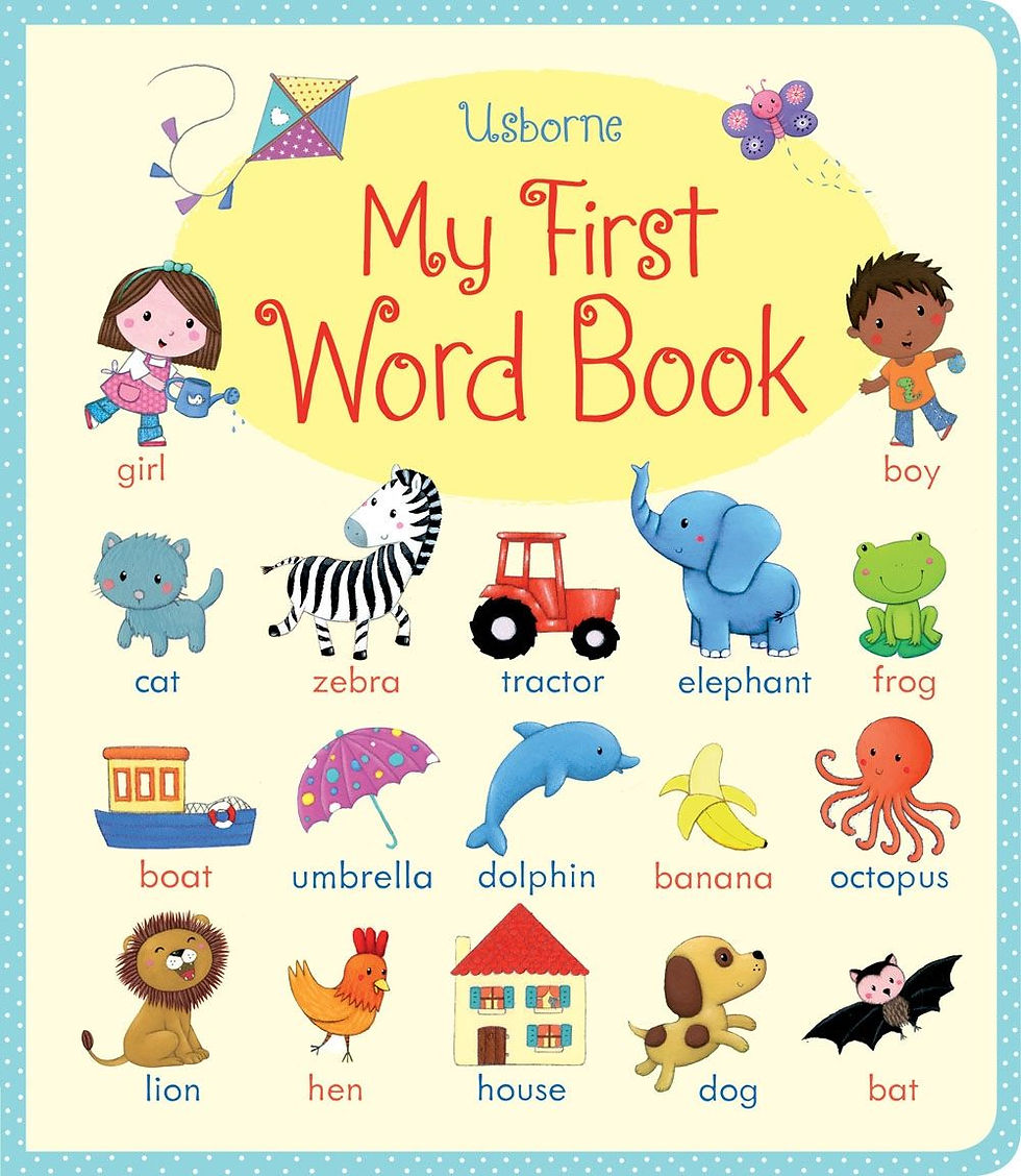 My First Word Book Usborne