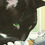 Thumbnail: Wordless picture book Mr. Wuffles! A Caldecott Honor Award Winner