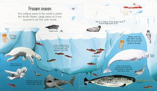 Thumbnail: My First Seas and Oceans Book