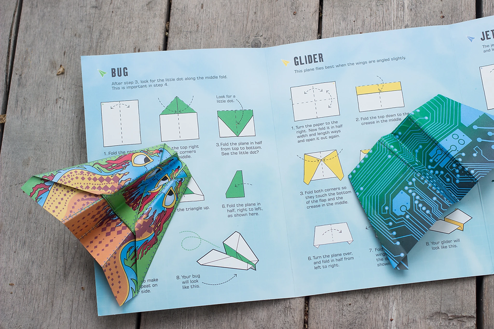 Thumbnail: 100 Paper Planes to Fold and Fly