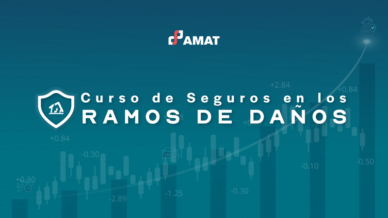  Curso de Seguros en los Ramos de Daños