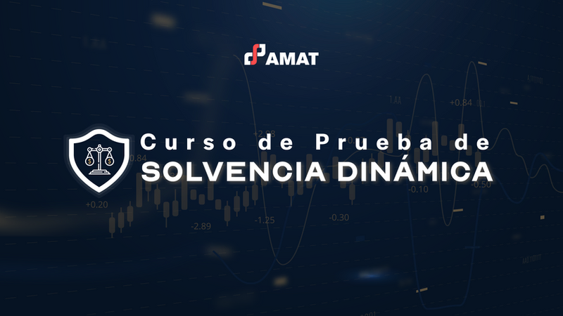 Curso de Prueba de Solvencia Dinámica
