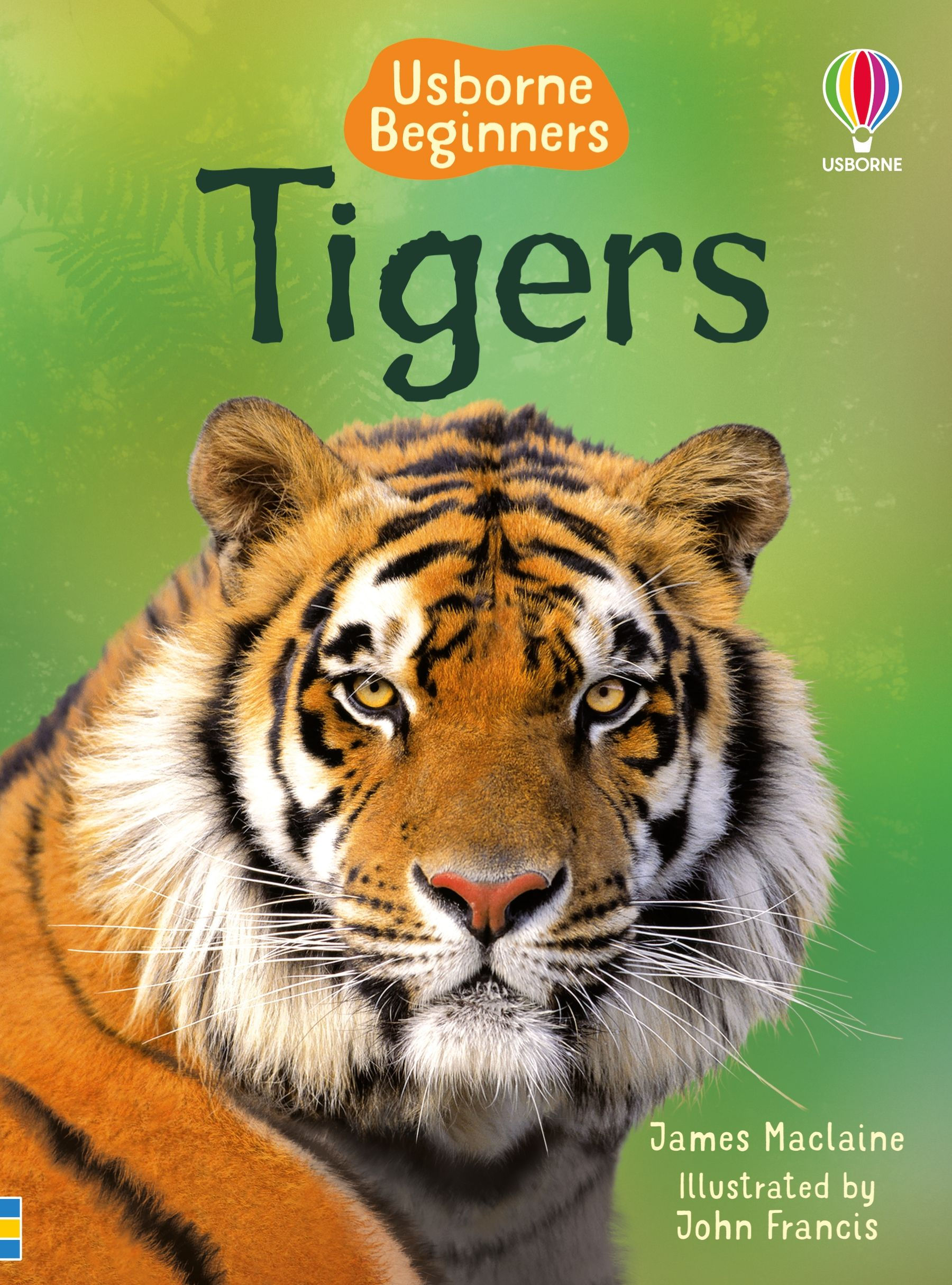 Tigers Usborne Beginners