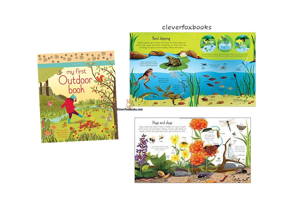 Thumbnail: My very First set of 3 Books (Animals,Space,Outdoor)