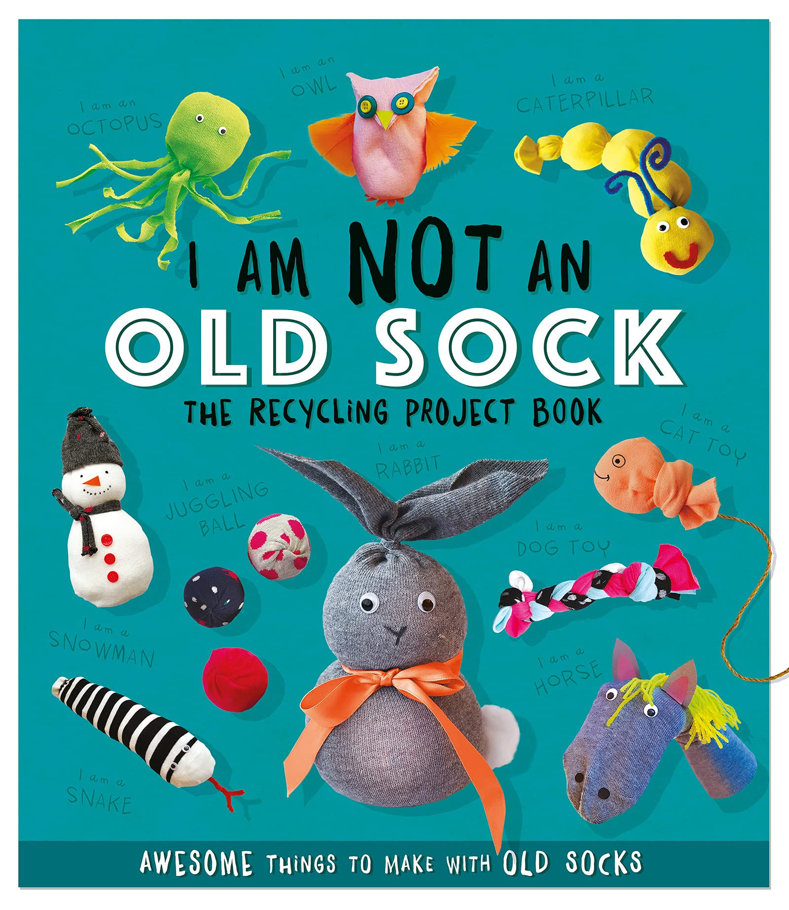 I Am Not An Old Sock - The Recycling Project Book