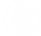 lion logo white.png