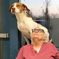 Denny Edwards | FCAHS