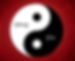 Yin Yang red_edited.jpg