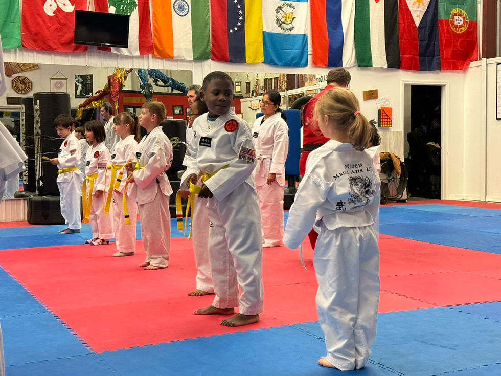 Thumbnail: Taekwondo Summer Session