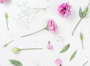 Pink Roses