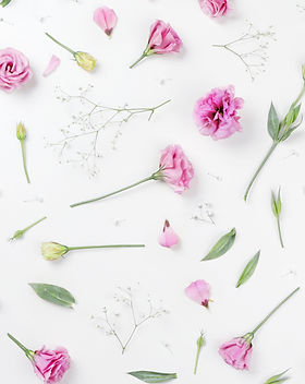 Pink Roses