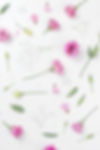 Roses roses