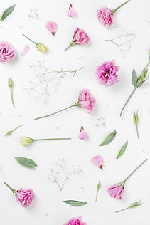 Pink Roses