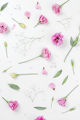 Rosas cor de rosa