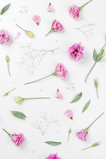 Roses roses