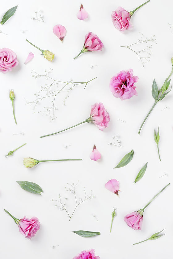 Pink Roses