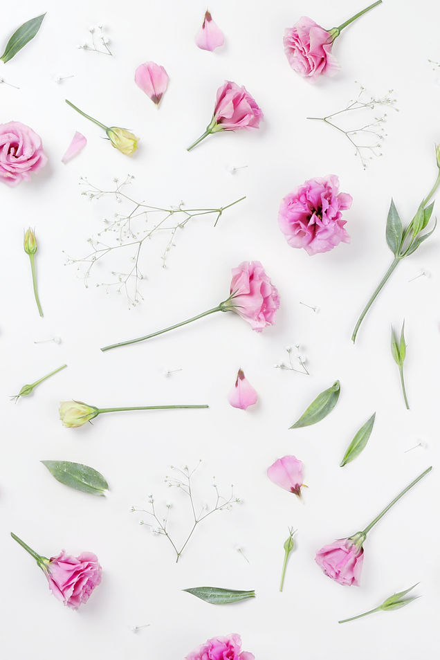 Pink Roses