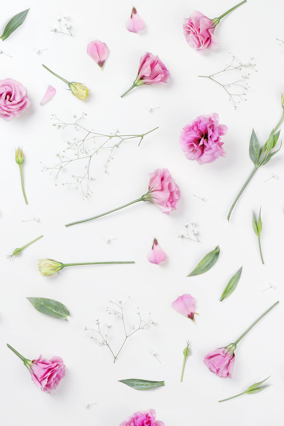 Pink Roses