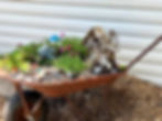 Fairy Garden