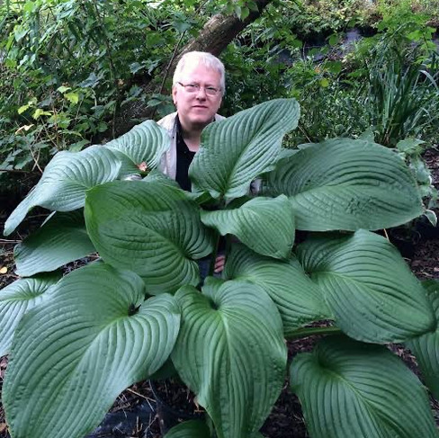 Man and Giant Hosta