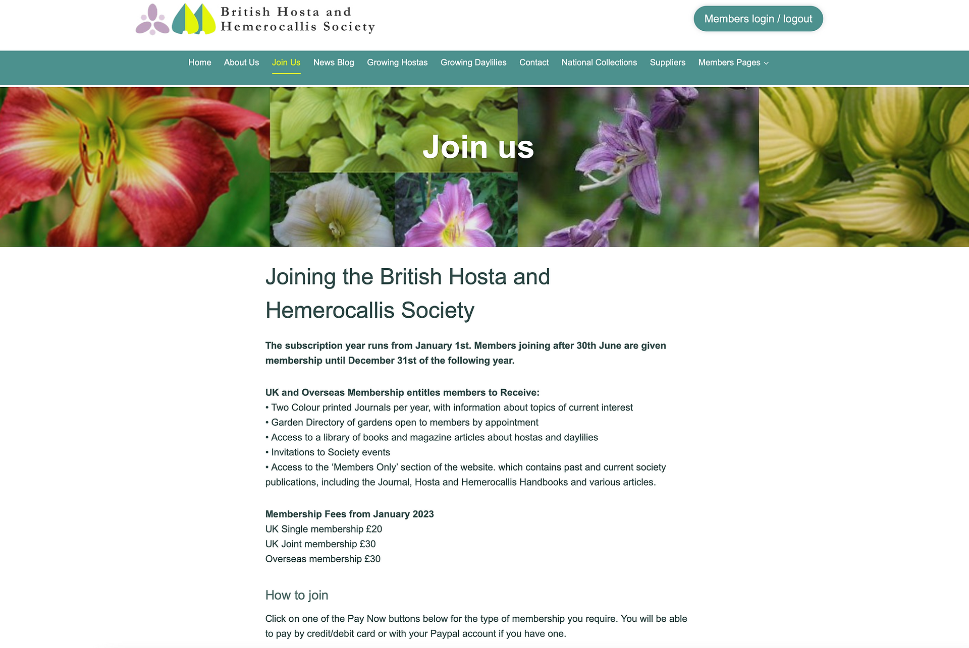BHHS Website page