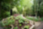 Raised bed used to utilise root covered area