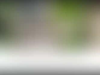 Garden Designing ... with Hostas in Mind