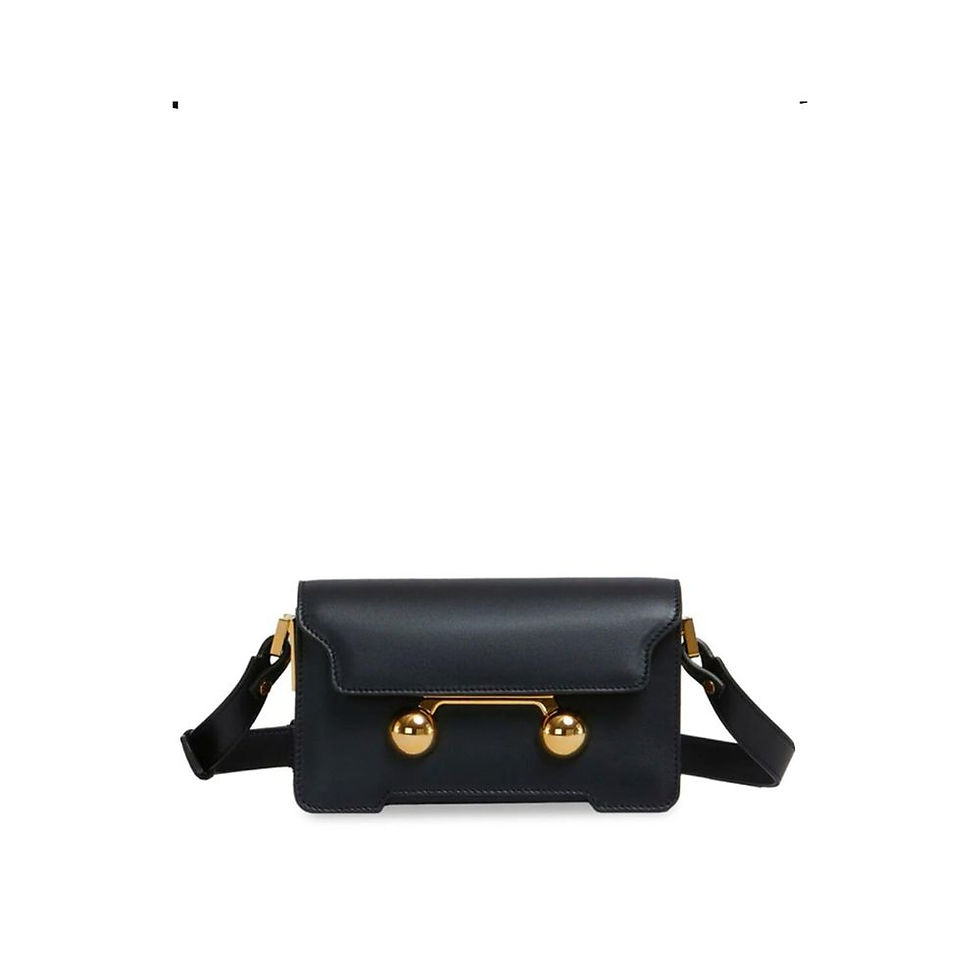 Marni Trunkaroo Mini Bag