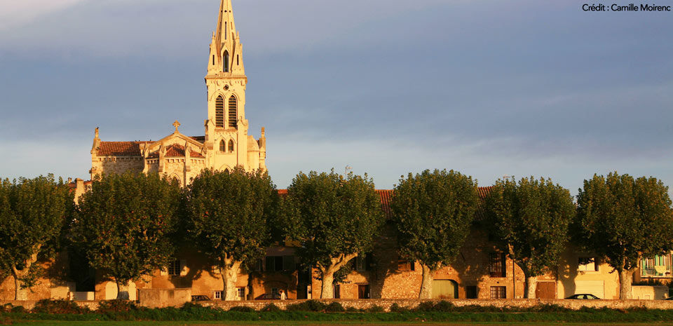st cannat 2