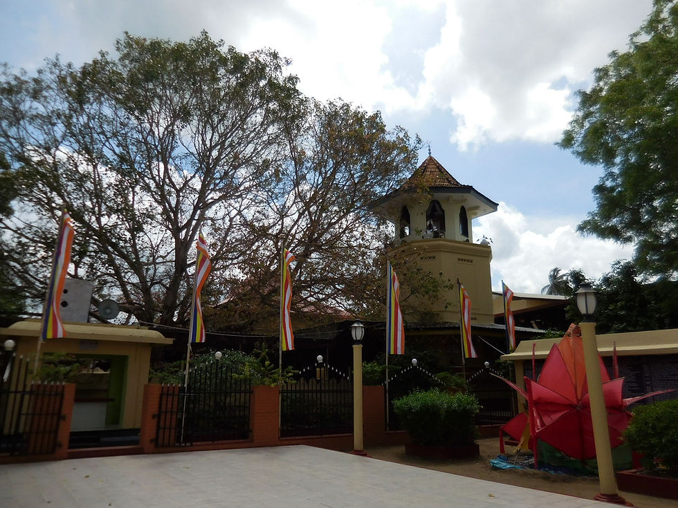 2015-06-06 13.38.29.jpg