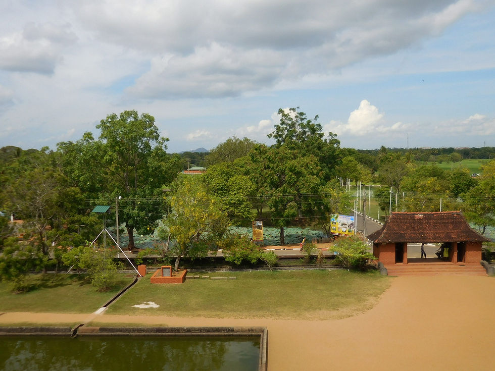 2015-06-06 14.13.28.jpg