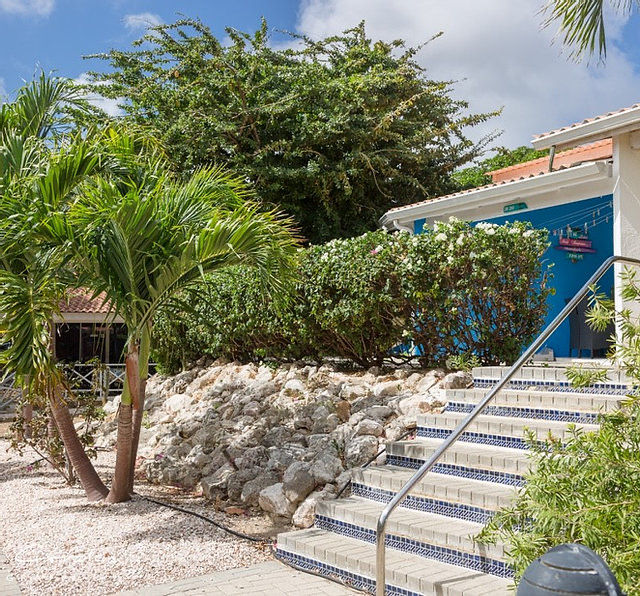 11BDE457-4E9C-4065-86E9-D9BAE48411FF