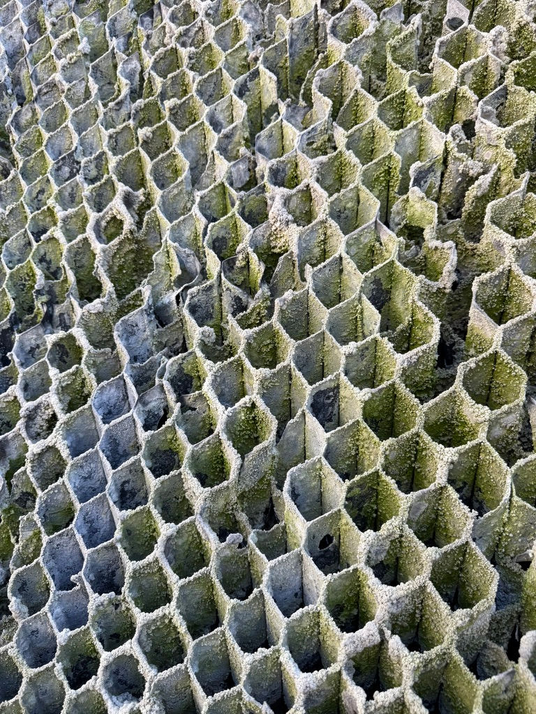 dirty cooling tower fins & media before a gentle cleaning by South East Clean Works