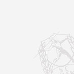 Grafik_BG_Home_Buttons.jpg