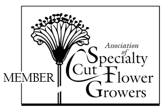 ASCFG-Member-Logo.png