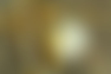 A picture of rice bran oil.