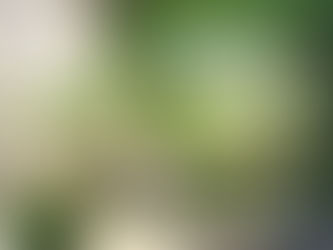 The Power of Green Janitorial Services: Creating a Cleaner and Greener Space