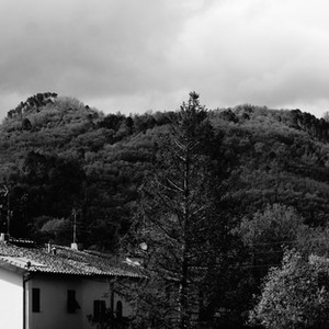 Enigmatic Nature | Montecatini