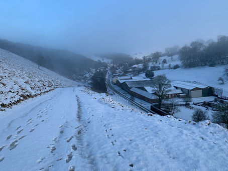 Four seasons in one month - February